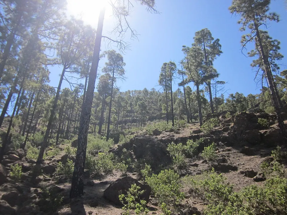 Monumento Natural de Tauro