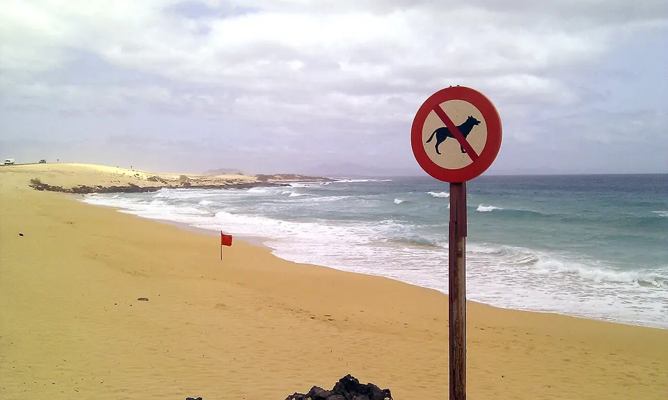 Playa de Alzada