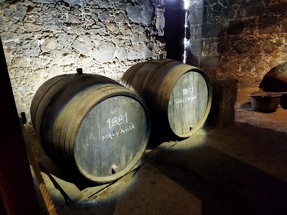 Museo del Vino El Grifo