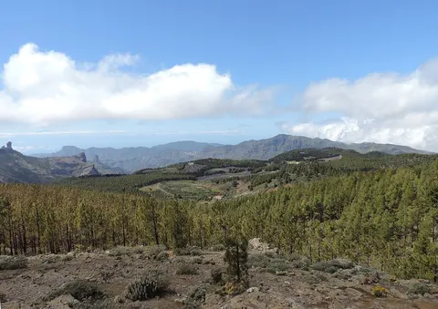 Mirador Pico de las Nieves