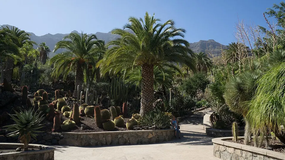 Cactualdea