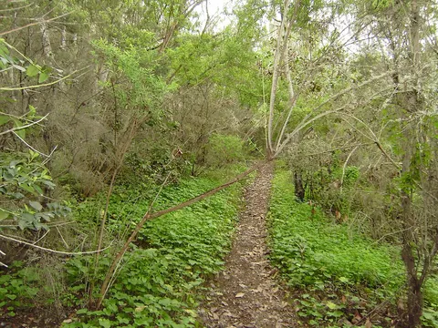 Reserva Natural Especial de El Brezal
