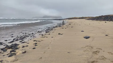 Playa Baja del Ganado