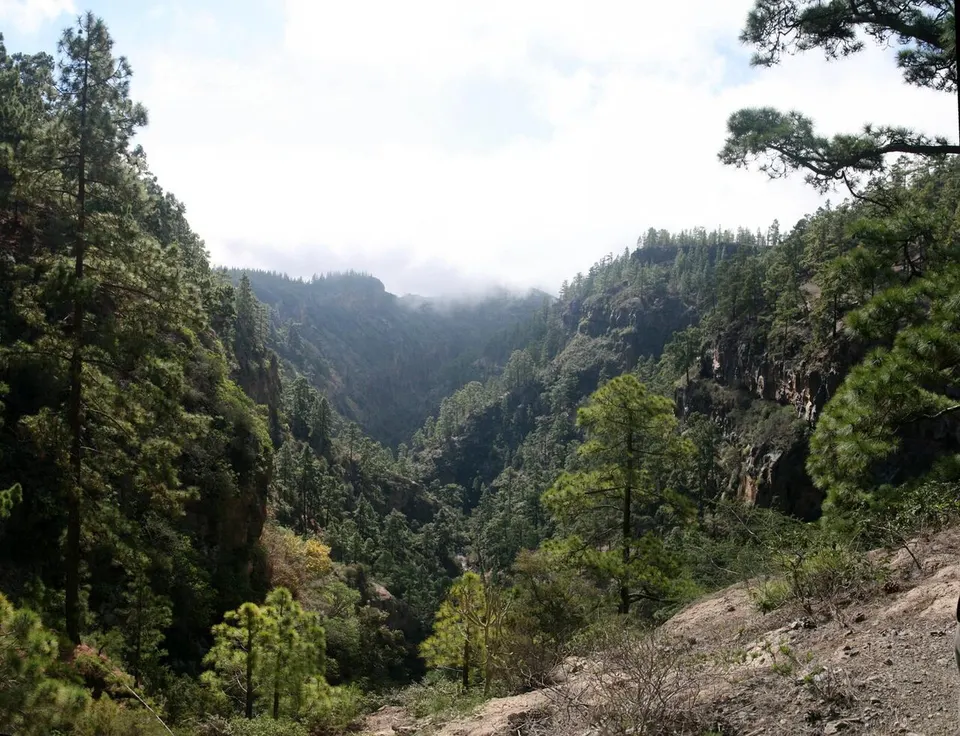 Reserva Natural Especial del Barranco del Infierno
