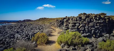 Zona Paleontológica de Punta Negra