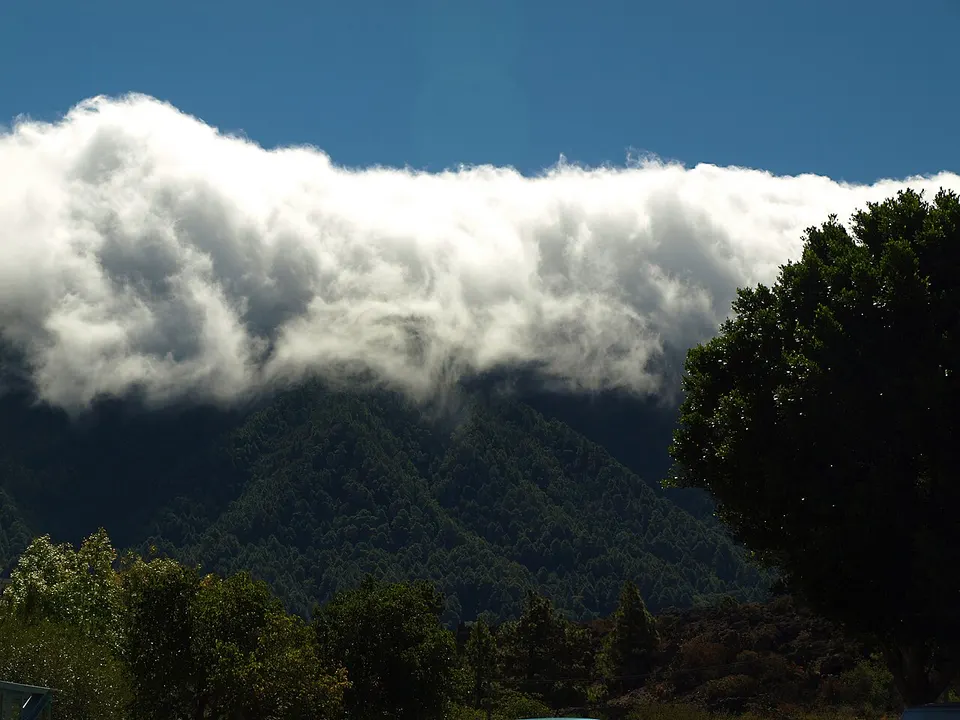 Zona de Especial Protección El Paso y Santa Cruz de La Palma