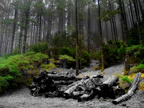 Paisaje Protegido de Las Lagunetas