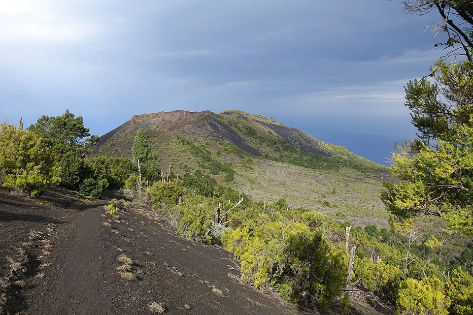 Tanganasoga