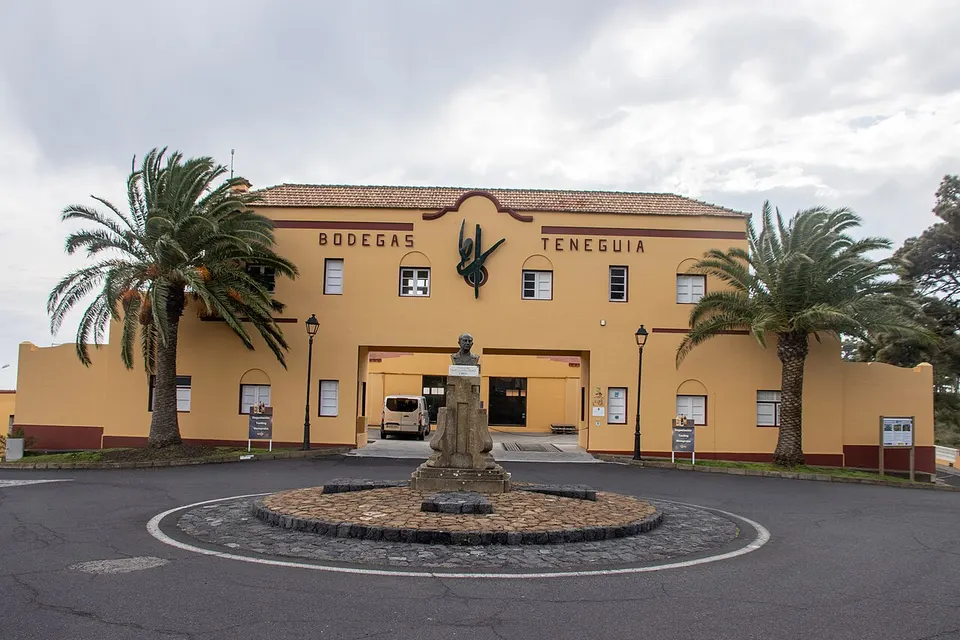Bodegas Teneguia