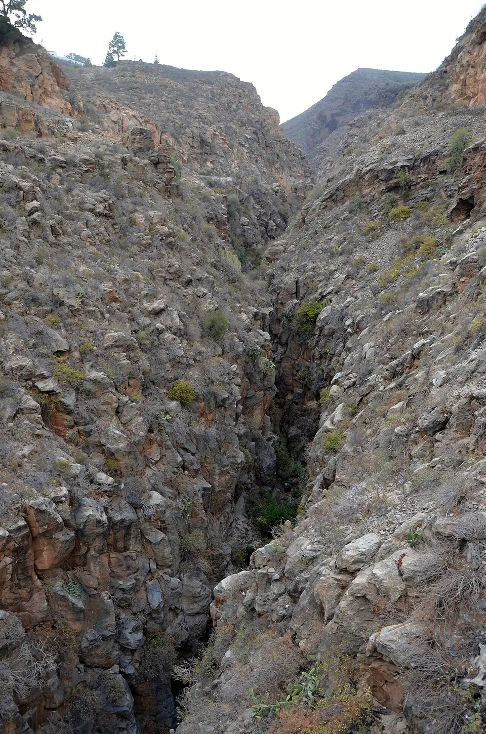 Barranco de Orchilla