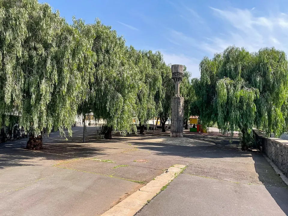 Parque del Drago