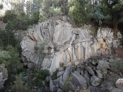 Margarita de Piedra