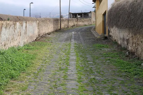 Camino El Ciprés