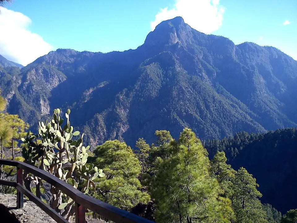 Pico Bejenado