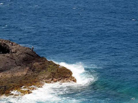 Punta Sardina