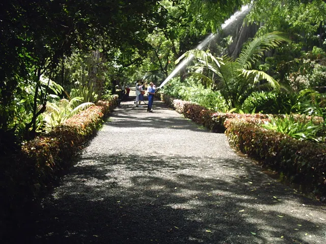 Jardín Botánico