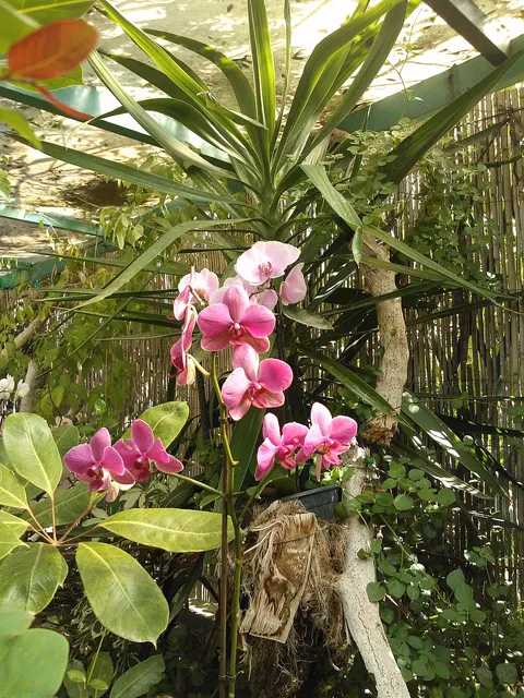 Jardín Sitio Litre