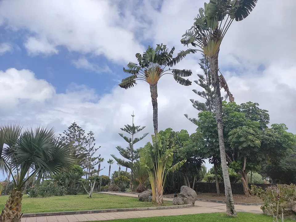 Complejo Playa Jardín