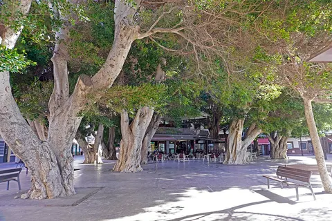 Plaza de la Constitución