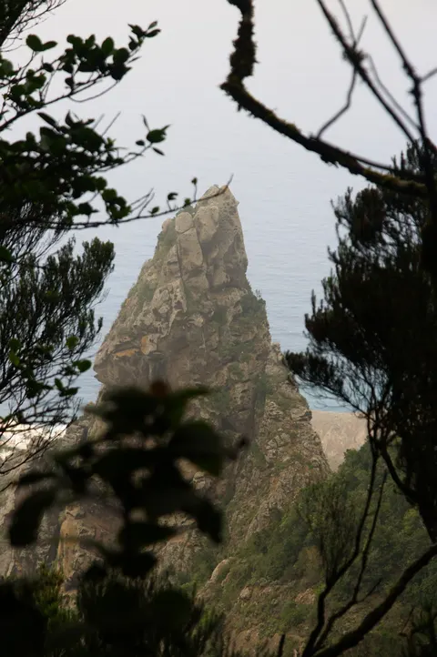 Roque Anjua