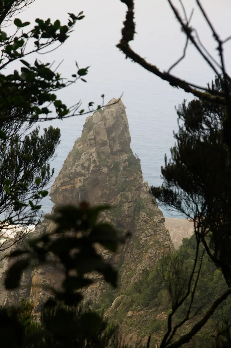 Roque Anjua