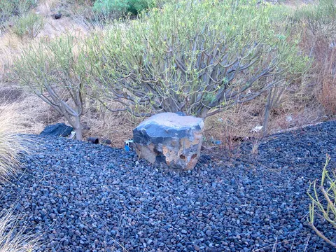 Zona Arqueológica La Gallega