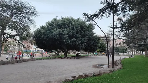 Parque "La Granja"