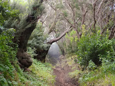 Parque natural de Cumbre Vieja