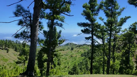 Montaña de Juan León