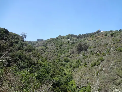 Reserva Natural Integral de Barranco Oscuro