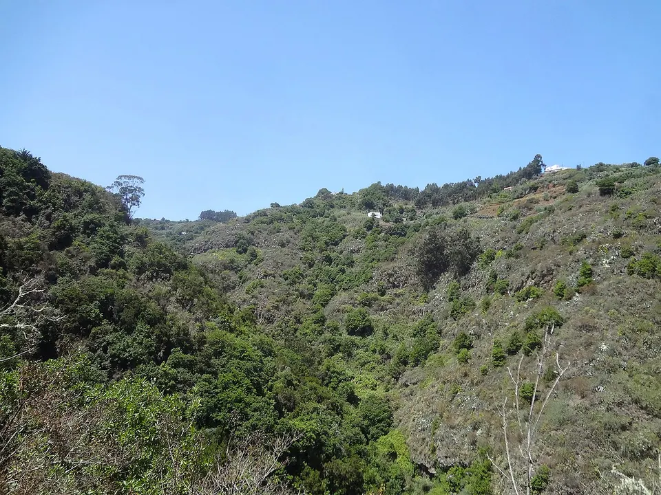 Reserva Natural Integral de Barranco Oscuro