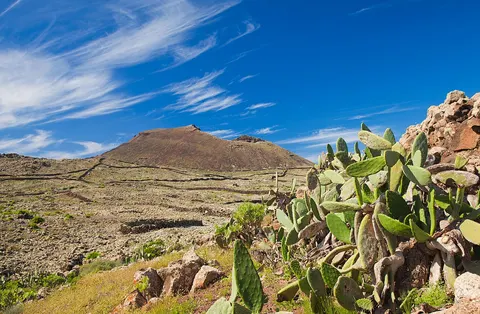 Malpaís de la Arena
